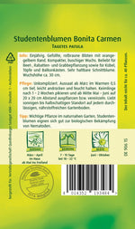 Quedlinburger Studentenblume Bonita Carmen