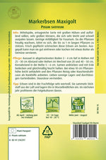 Quedlinburger Markerbse Maxigolt