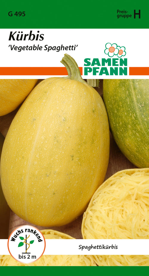 Samen Pfann Kürbis Vegetable Spaghetti