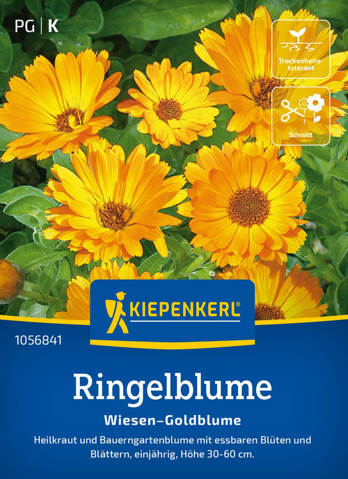 Kiepenkerl Ringelblumen Wiesen-Goldblume