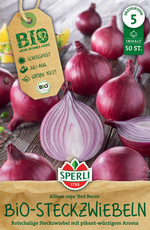 SPERLI Rote BIO Steckzwiebel Red Baron 50 Stück
