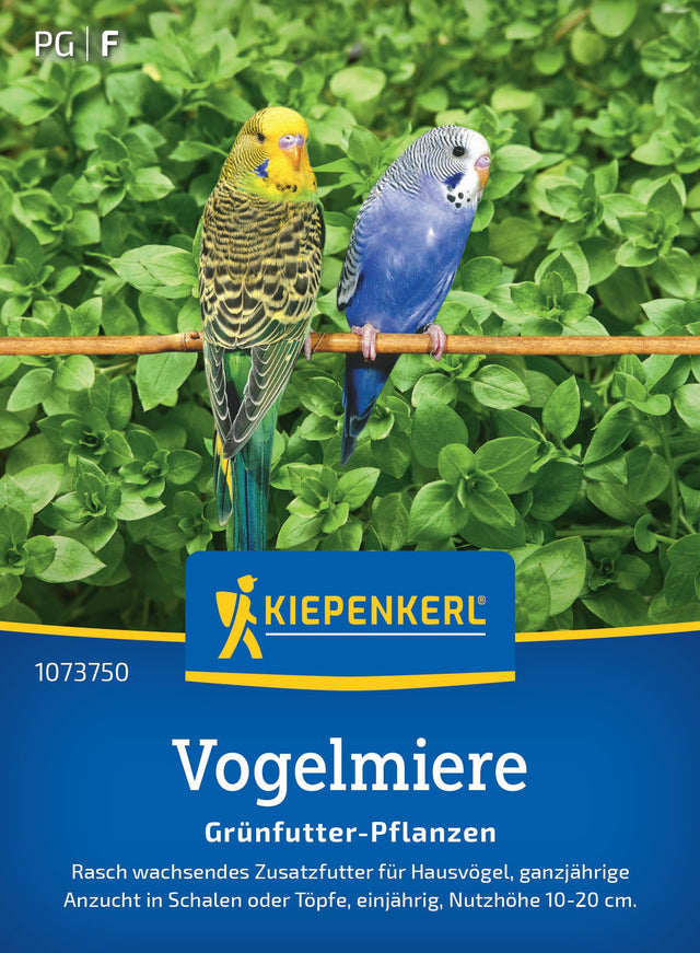 Kiepenkerl Frischfutterpflanzen Vogelmiere Loses Saatgut