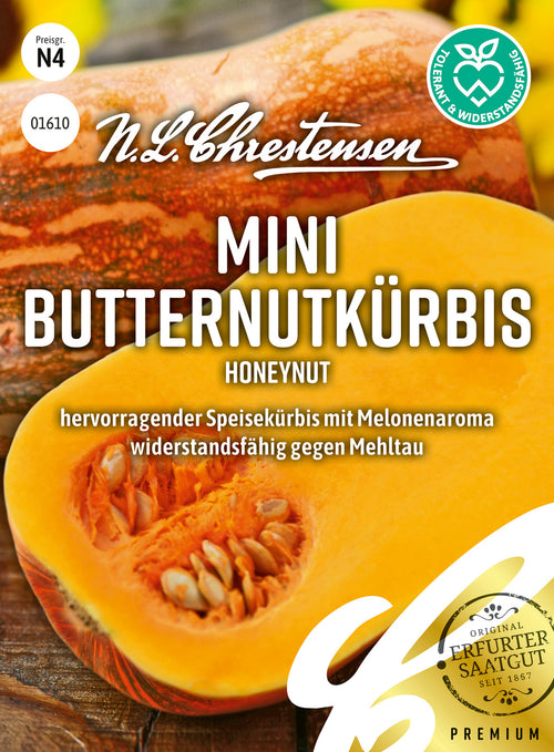 N.L. Chrestensen Mini Butternutkürbis Honeynut