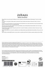 Zierlauch Allium caeruleum