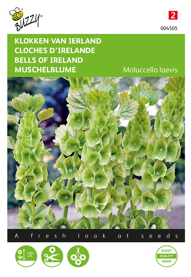 Buzzy Seeds Wassersalat Muschelblume