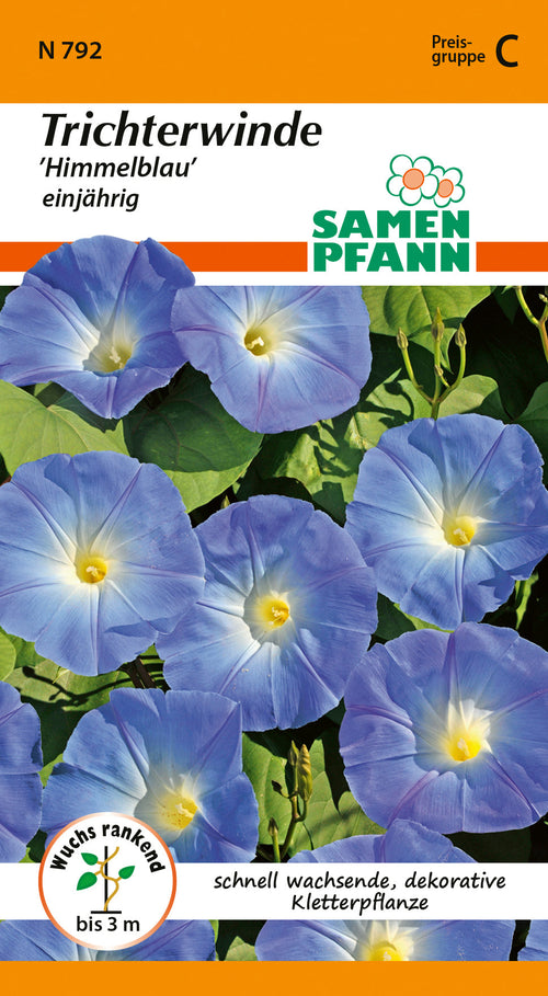 Samen Pfann Trichterwinde Himmelblau einjährig