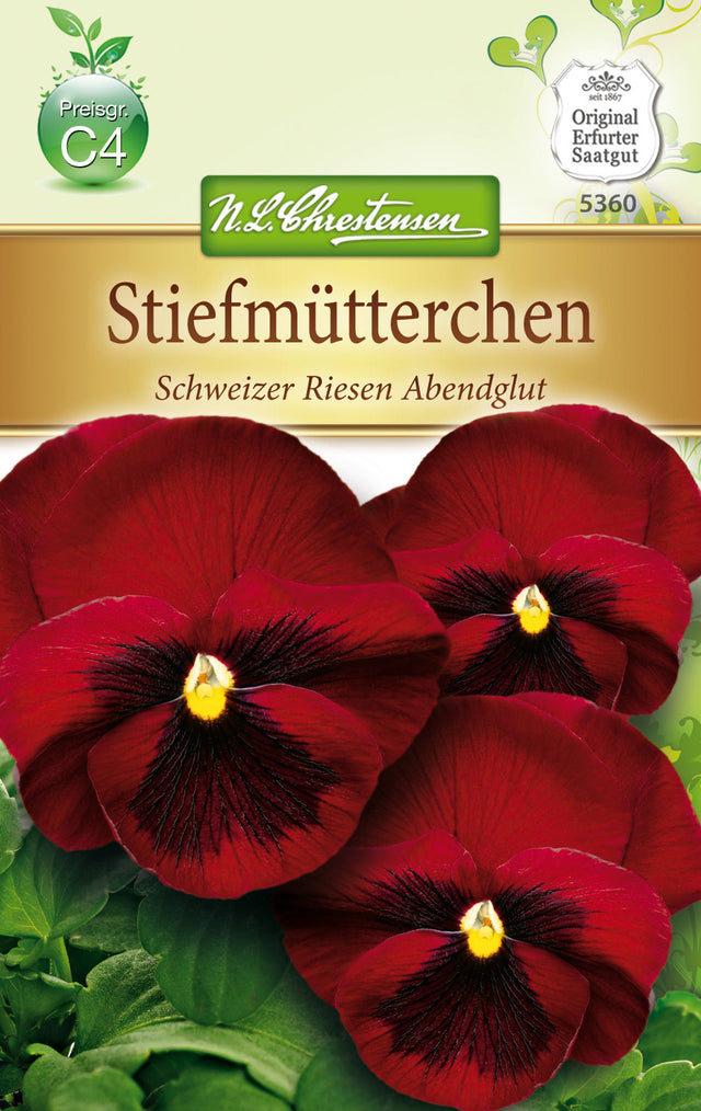 N.L. Chrestensen Stiefmütterchen Schweizer Riesen Abendglut
