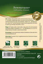 Quedlinburger Sommeraster Lady Coral Mischung