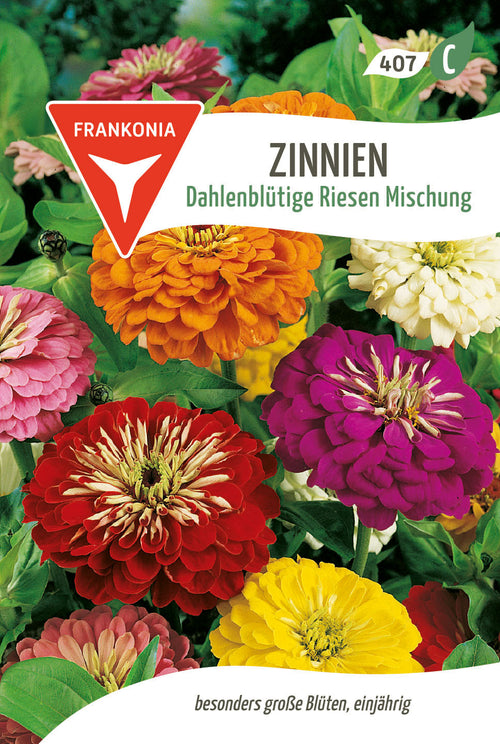 Frankonia Samen Zinnien Dahlenblütige Riesen Mischung