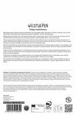 Wildtulpe turkestanica