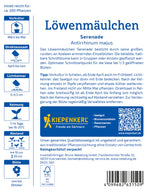 Kiepenkerl Löwenmäulchen Serenade