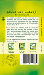 Quedlinburger Schleierkraut Schneekönigin, weiß, einjährig