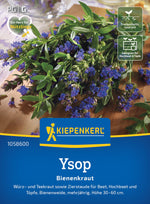 Kiepenkerl Ysop Bienenkraut