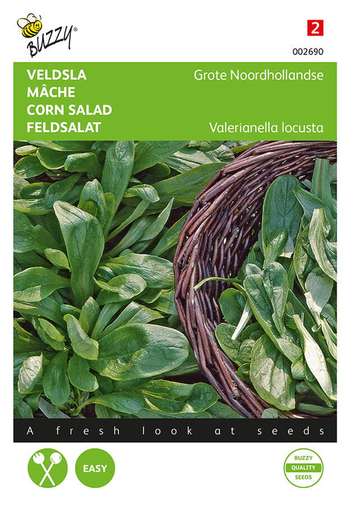 Buzzy Seeds Feldsalat Holländischer breitblättriger