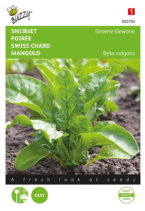 Buzzy Seeds Mangold Grüner Schnitt