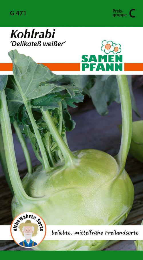 Samen Pfann Kohlrabi Delikateß weißer