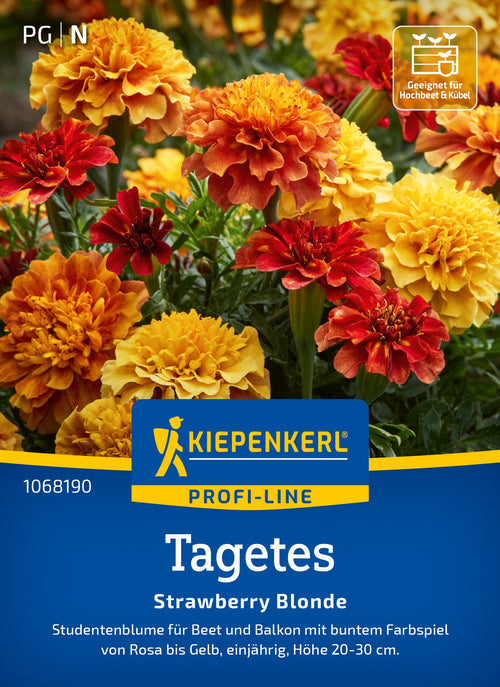 Kiepenkerl Studentenblumen Strawberry Blonde