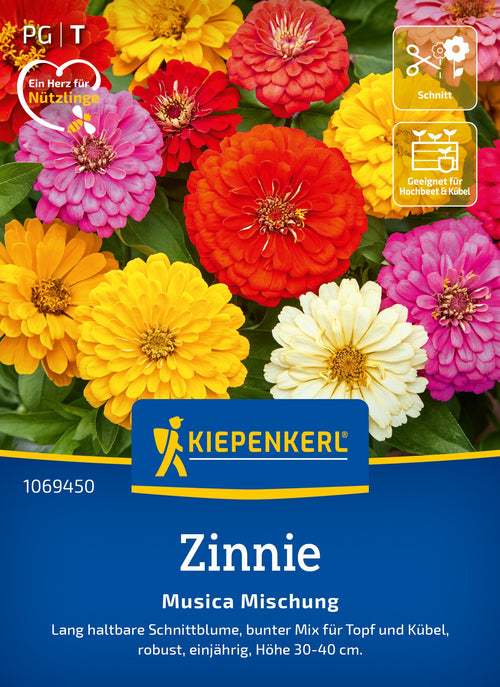 Kiepenkerl Zinnien Musica Mischung
