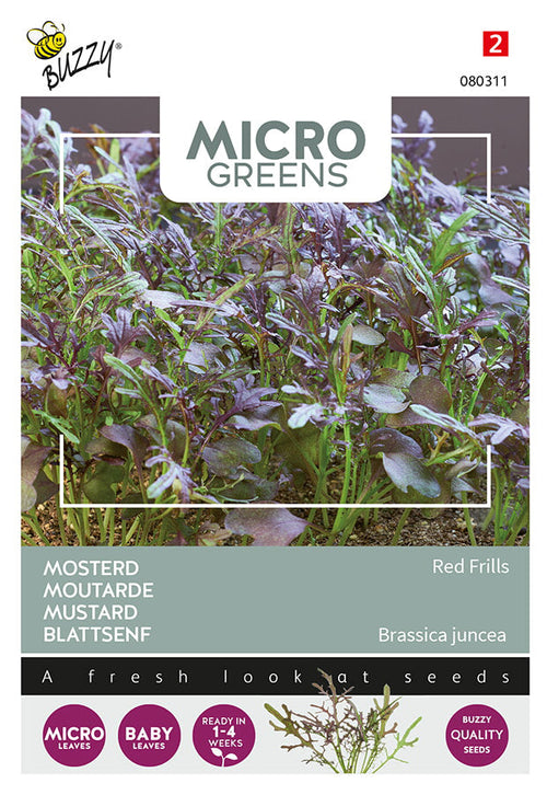 Buzzy Seeds Microgreens Blattsenf Red Frills
