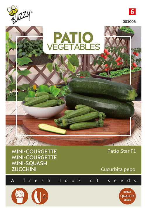 Buzzy Seeds Zucchini Patio Star