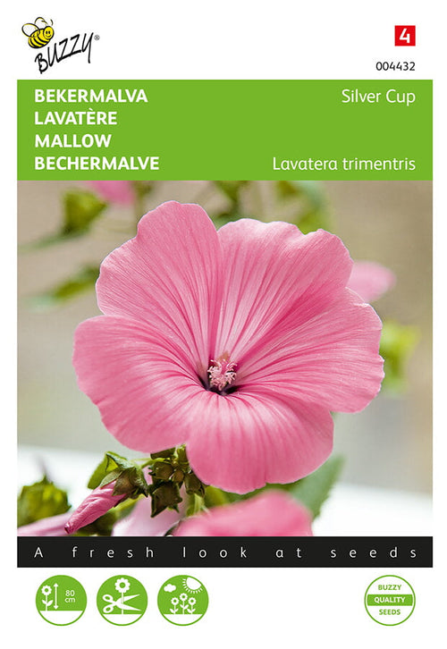Buzzy Seeds Bechermalve Silver Cup