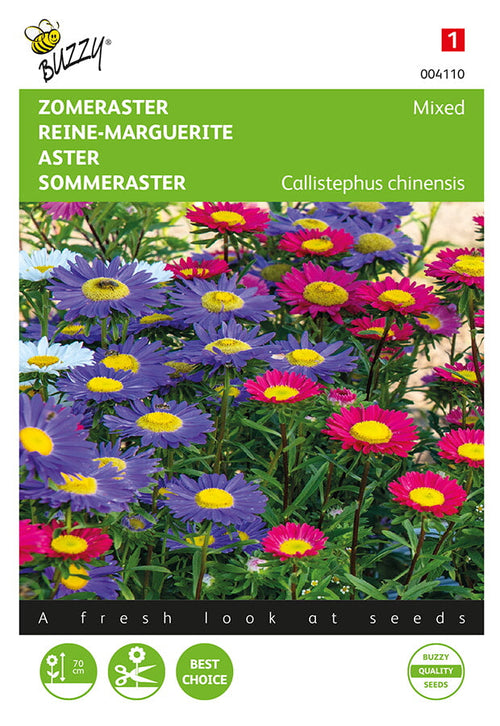 Buzzy Seeds Sommeraster Einfache Mischung