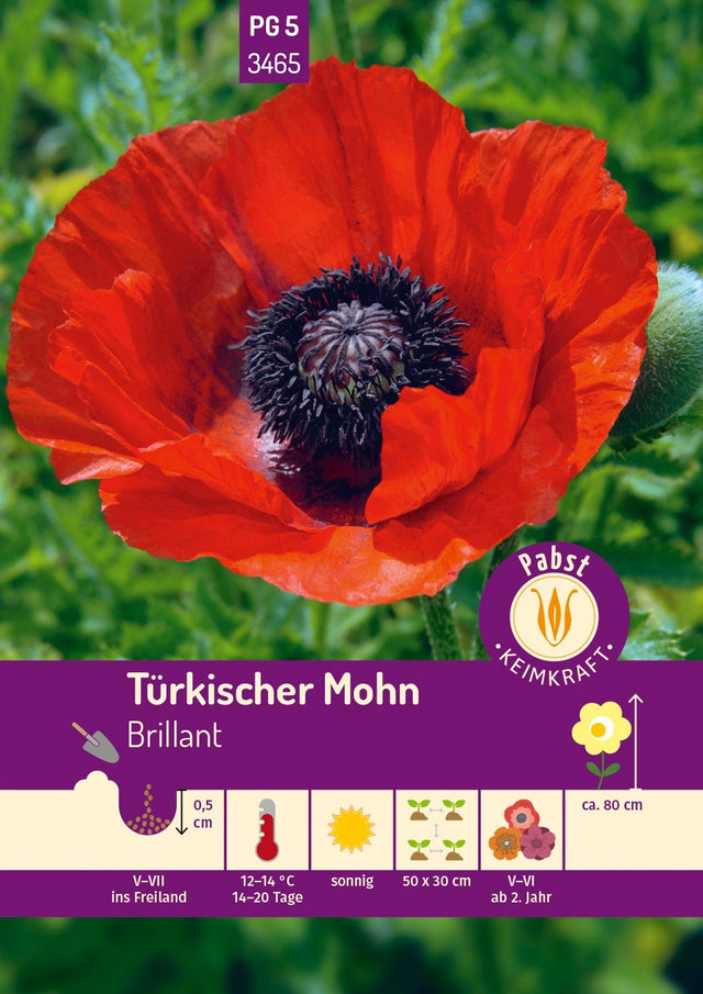 Pabst Keimkraft Mohn Türkischer Brillant