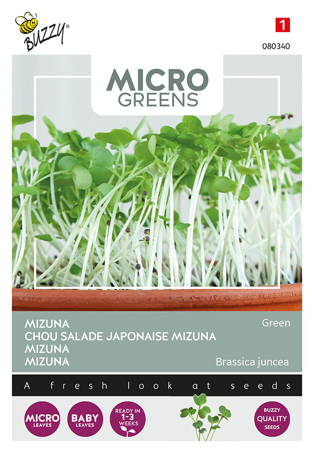 Buzzy Seeds Microgreens Mizuna Grün