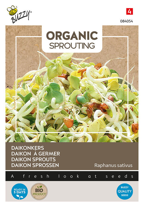 Buzzy Seeds BIO Keimsprossen Rettich, Daikon
