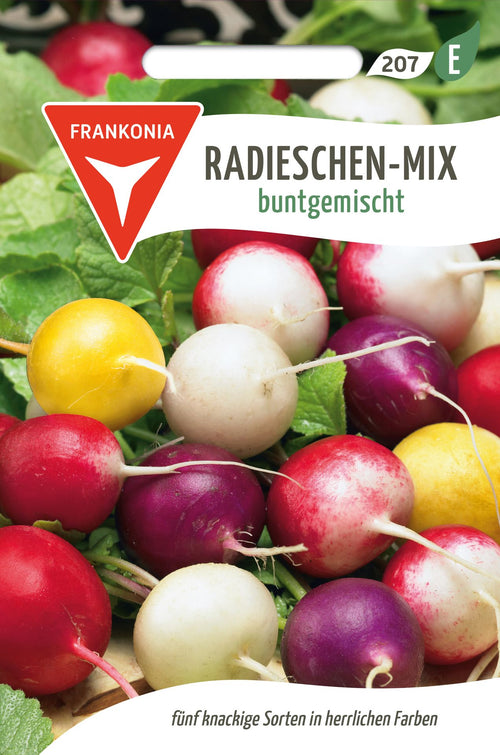 Frankonia Samen Radieschen buntgemischt