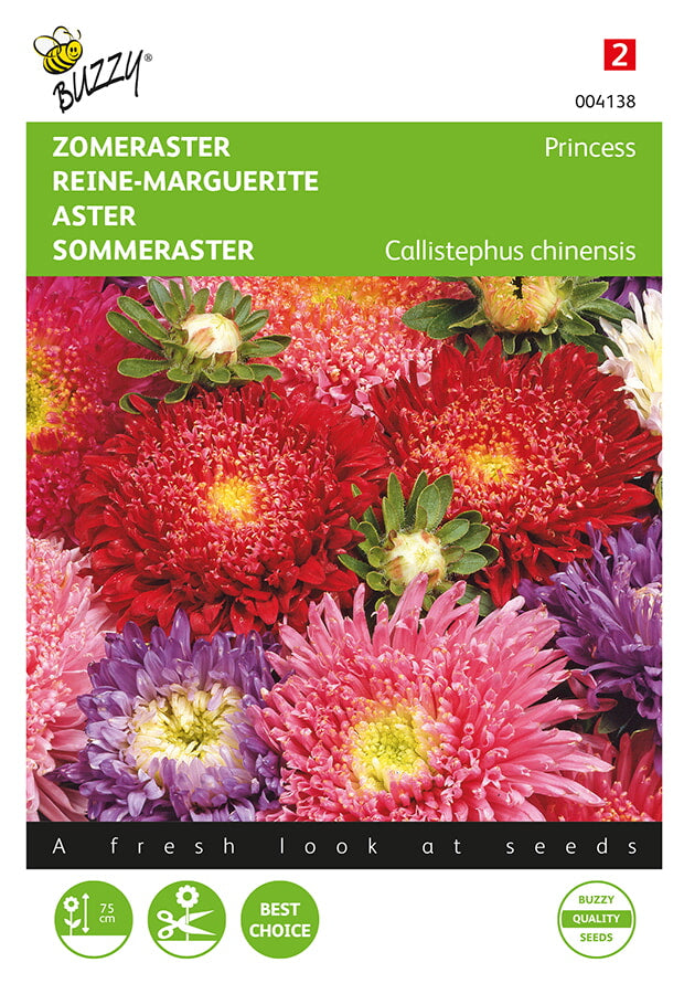 Buzzy Seeds Sommeraster Prinzessin Mischung