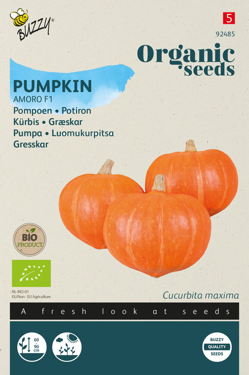 Buzzy Organic Seeds BIO Kürbis Amoro