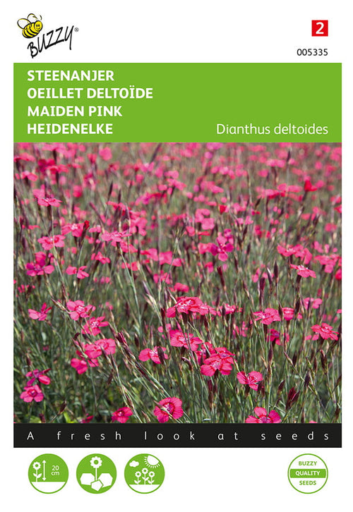 Buzzy Seeds Heidenelke Karminrot