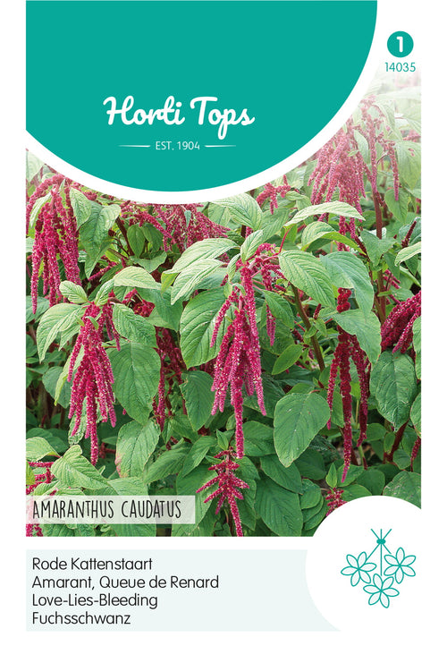 Horti Tops Fuchsschwanz Roter Fuchsschwanz
