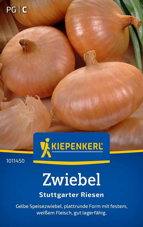 Kiepenkerl Zwiebel Stuttgarter Riesen