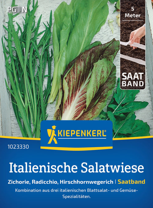 Kiepenkerl Pflück- & Schnittsalat Zichorie, Radicchio, Hirschhornwegerich Saatband