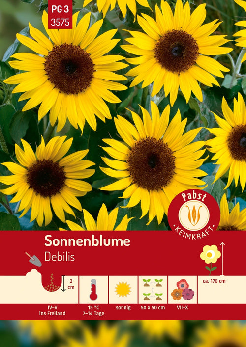Pabst Keimkraft Sonnenblumen Debilis Mischung