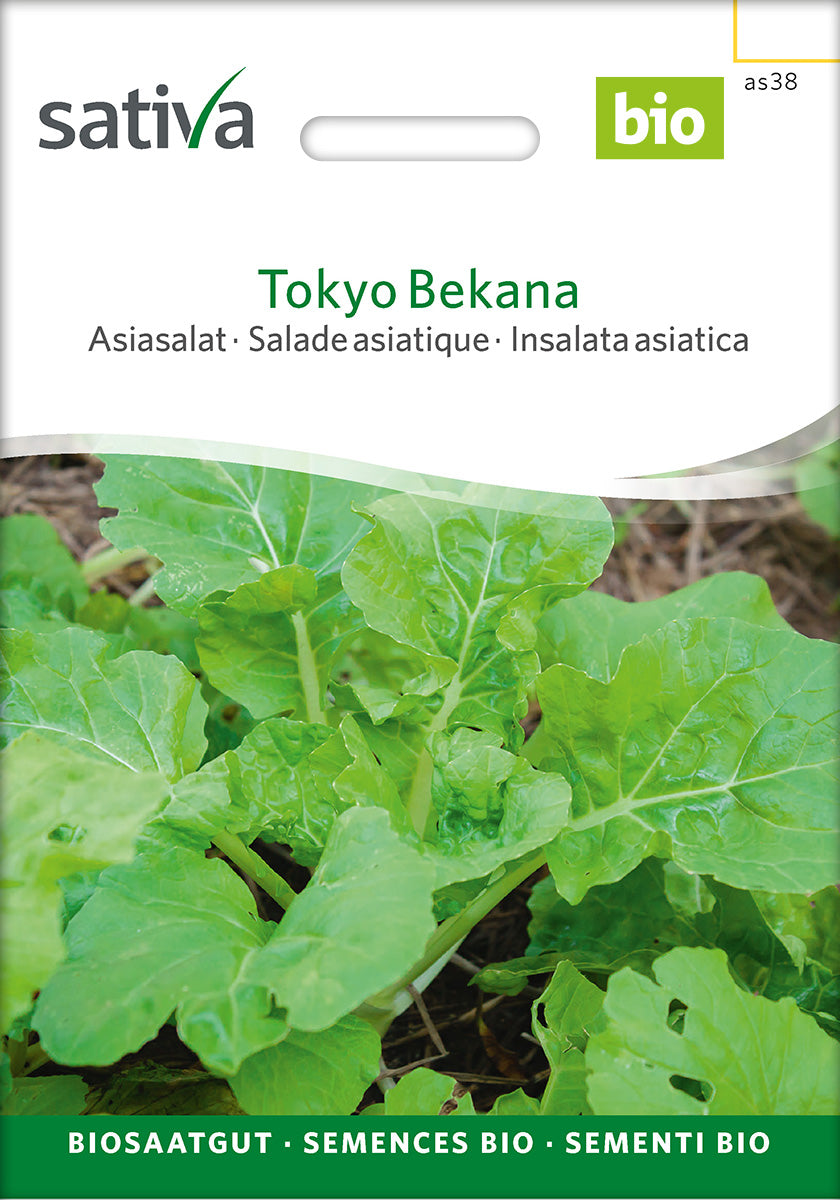 Sativa Asiasalat Tokyo Bekana