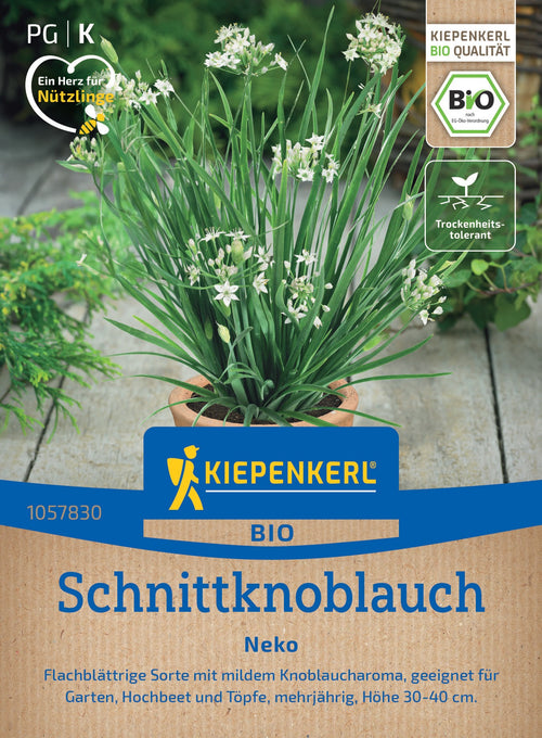 Kiepenkerl Schnittknoblauch Neko