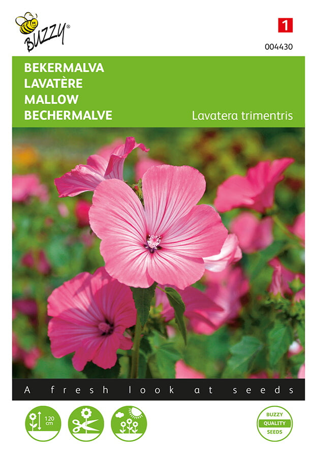 Buzzy Seeds Bechermalve Rosa/Rot
