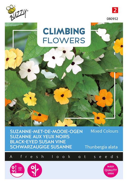 Buzzy Seeds Schwarzäugige Susanne Mischung