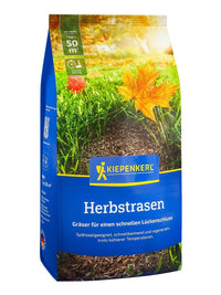 Kiepenkerl Herbstrasen, 1 kg