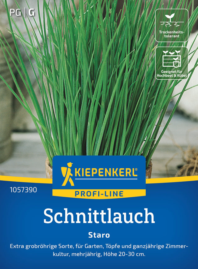 Kiepenkerl Schnittlauch Staro