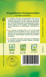 Quedlinburger Ringelblume Orangestrahlen