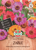SPERLI Zinnie Forecast Mischung