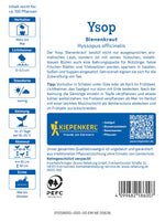 Kiepenkerl Ysop Bienenkraut