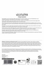 Wildtulpe batalinii Bright Gem