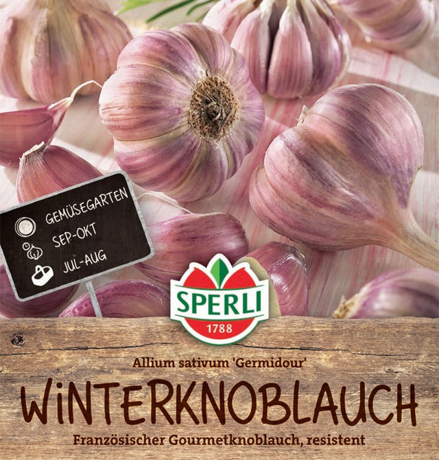 SPERLI Knoblauch Germidour 3 Stück
