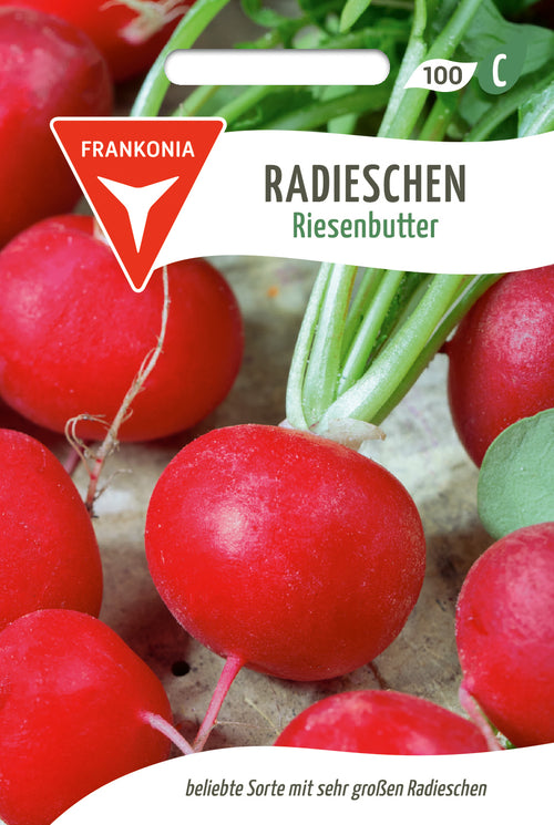 Frankonia Samen Radieschen Riesenbutter