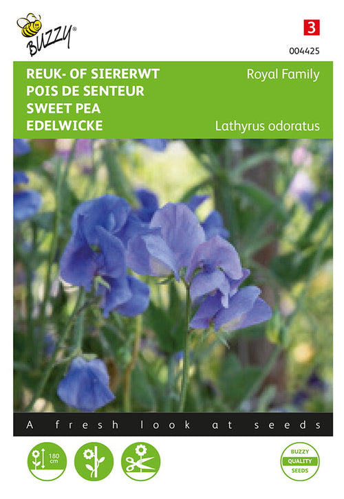 Buzzy Seeds Wicke Royal Blau